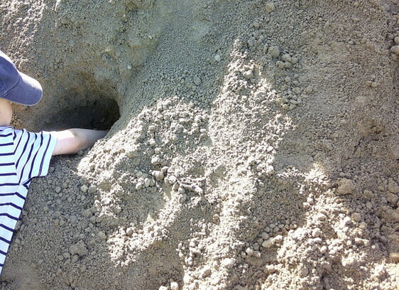 der naturnahe Spielbereich ermöglicht wertvolle Sinnes- und Naturerfahrungen